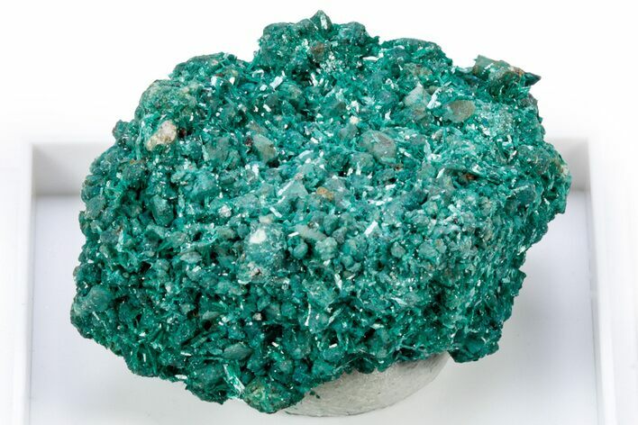 Beautiful Blue-Green Botallackite Crystal Cluster - England #305598